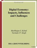 Digital Economy: Impacts, Influences and Challenges