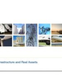 Macquarie Infrastructure and Real Assets 2012