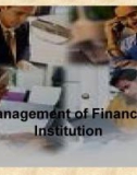 Management of financial institution: Lecture 1