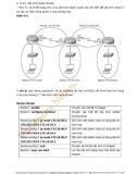 HƯỚNG DẪN VỀ CCNA LAB- P6