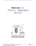 Seminar 1: 'Hello, Embedded World'