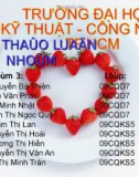 Tiểu luận: Tiềm năng Năng lượng tái tạo ở Việt Nam