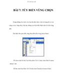 BÀI 7: TÙY BIẾN VÙNG CHỌN