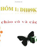 Thực trạng công nghiệp hóa - hiện đại hóa Việt Nam thời đại mới