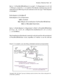 Research Issues in Systems Analysis and Design, Databases and Software Development phần 9