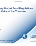 Money Market Fund Regulations: The Voice of the Treasurer