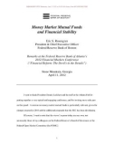 Money Market Mutual Funds and Financial Stability