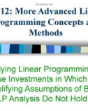 More Advanced Linear Programming Concepts and Methods