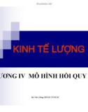 SLIDE KINH TẾ LƯỢNG: CHƯƠNG IV: MÔ HÌNH HỒI QUY BỘI