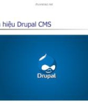 Tìm hiệu Drupal CMS