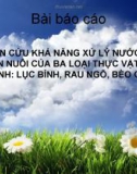 Đề tài: Nghiên cứu khả năng xử lý nước thải chăn nuôi của ba loại thực vật thủy sinh: Lục bình, rau ngổ, bèo cám