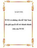 LUẬN VĂN: WTO và những vấn đề Việt Nam cần giải quyết để trở thành thành viên của WTO