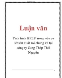 Luận văn: Tình hình BHLĐ trong các cơ sở sản xuất nói chung và tại công ty Gang Thép Thái Nguyên