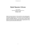 Digital Signature Schemes