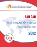 Báo cáo chỉ số thương mại điện tử Việt Nam 2012