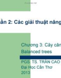 Bài giảng Phân tích và Thiết kế giải thuật nâng cao: Chương 3 - PGS.TS. Trần Cao Đệ