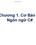 Bài giảng Tin học đại cương: Chương 1 - Cơ bản về ngôn ngữ C#