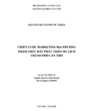 Luận án Tiến sĩ Quản trị kinh doanh: Chiến lược marketing địa phương nhằm thúc đẩy phát triển du lịch thành phố Cần Thơ