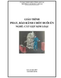 Giáo trình Phay, bào rãnh chốt đuôi én (Nghề: Cắt gọt kim loại) - Trường CĐ Cộng đồng Lào Cai