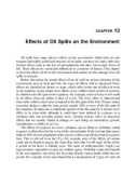 The Basics of Oil Spill Cleanup - Chapter 13