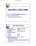 Nguyên lý Bảo hiểm