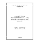 Đề tài : CÔNG NGHỆ THI CÔNG DẦM HỘP LIÊN TỤC B.T.C.T.D.Ư.L. BẰNG PHƯƠNG PHÁP ĐÚC HẪNG CÂN BẰNG (CẦU CẨM LỆ)