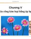 Chương V: Gia công kim loại bằng áp lực