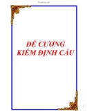 Đề cương kiểm định cầu