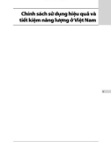 Chính sách sử dụng hiệu quả và tiết kiệm năng lượng ở Việt Nam