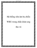 Hệ thống siêu âm ba chiều WBU trong chẩn đoán ung thu vú