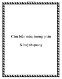 Cảm biến màu; tương phản & huỳnh quang