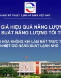 ĐÁNH GIÁ HIỆU QUẢ NĂNG LƯỢNG VÀ HIỆU SUẤT NĂNG LƯỢNG TÔI THIỂU