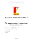 BÁO CÁO THÍ NGHIỆM CHUYÊN NGÀNH II Bài 1: XÁC ĐỊNH THÀNH PHẦN CẤT PHÂN ĐOẠN CỦA SẢN PHẨM DẦU MỎ