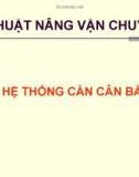 Hệ thống cân bằng