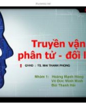 Truyền vận phân tử - đối lưu