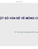 Bài giảng Một số vấn đề về móng cọc - TS. Trịnh Việt Cường