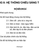 Bài giảng Trang bị điện ô tô - Chương 8: Hệ thống chiếu sáng tín hiệu