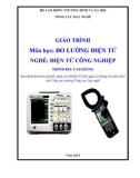 Giáo trình Đo lường điện tử - Nghề: Điện tử công nghiệp - Trình độ: Cao đẳng (Tổng cục Dạy nghề)