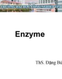 Bài giảng Phụ gia thực phẩm: Enzyme - ThS. Đặng Bùi Khuê