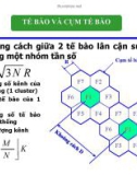 Bài giảng Hệ thống viễn thông: Chương 2 (phần 2) - Nguyễn Tâm Hiền