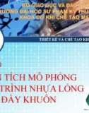 Bài giảng Thiết kế và chế tạo khuôn ép nhựa: Phân tích mô phỏng quá trình nhựa lỏng điền đầy khuôn