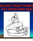 Bài giảng Vệ sinh an toàn thực phẩm: Chương 3 - ThS. Văn Hồng Thiện