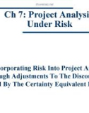 Project Analysis Under Risk