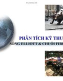 PHÂN TÍCH KỸ THUẬT SÓNG ELLIOTT & CHUỖI FIBONACCI