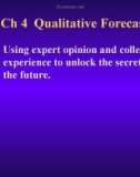 Qualitative Forecasting