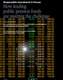 Responsible Investment in Focus: How leading public pension funds are meeting the challenge