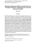 Risk/return/retention efficient frontier discovery through evolutionary optimization for non-life insurance portfolio