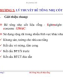 Bài giảng Công nghệ bê tông Silicat: Chương 2 Lý thuyết bê tông nhẹ cốt liệu rỗng