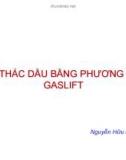 Bài giảng Khai thác dầu bằng phương pháp gaslift