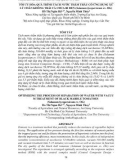 Tối ưu hóa quá trình tách nước thẩm thẩu có ứng dụng xử lý chân không trái cà chua bi đen (Solanum lycopersicum cv. OG)